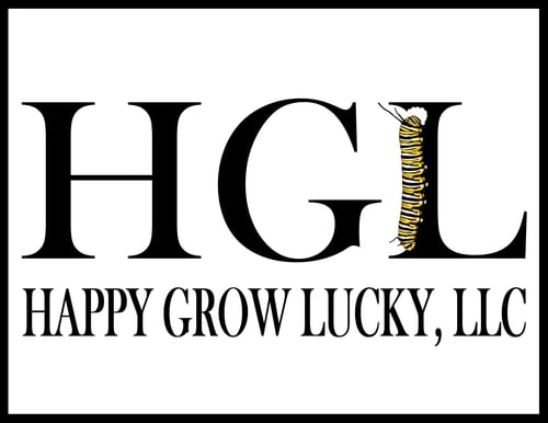 HGL letters and name website logo